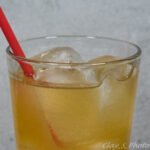 apple cider cinnamon ginger fizz