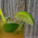 tart grapefruit ginger fizz thumb